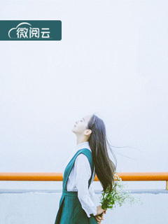 再见，我的机长苏羡意陆时渊