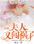 女主苏羡意男主陆时渊