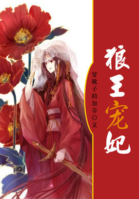 叶天苏轻眉小说免费阅读