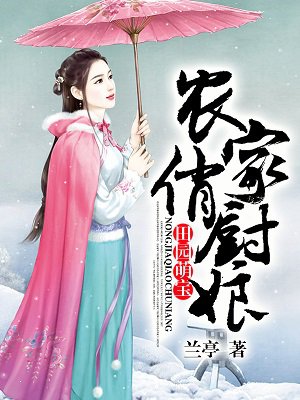 媳妇当家大结局最后一集