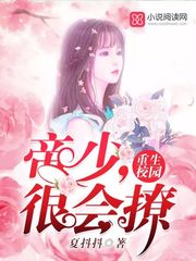 安澜叶凡小说原文