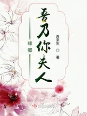 防线电视剧1-25集免费看