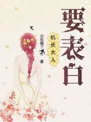 再见机长大人我要结婚了短剧