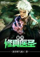 修真医圣陈飞升