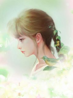 陈凡王雨柔小说免费阅读
