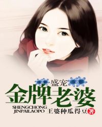 主角是穆晚晴文湛的小说在线阅读