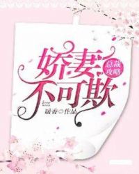 苏清婉夜寻免费热门小说