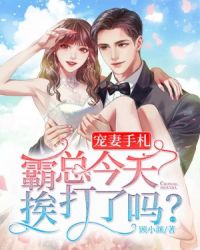 纪初禾萧晏安小说免费阅读