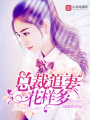 叶真彩衣仙子免费阅读