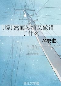 贵族游戏
